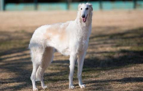 岸優太くんが好きな人パート３