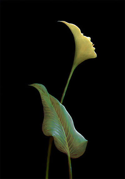 人間じゃないけど人間っぽいと思った画像を貼るトピ