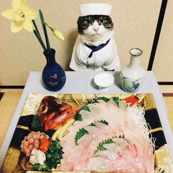 人間じゃないけど人間っぽいと思った画像を貼るトピ