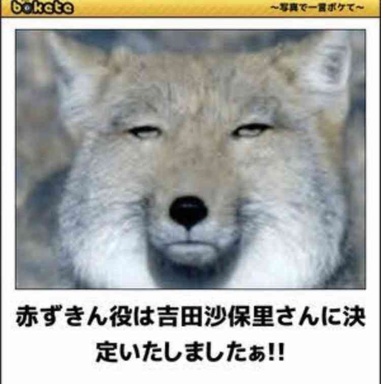 がるちゃんあるある