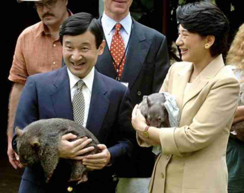 ウォンバットの画像を貼るトピ