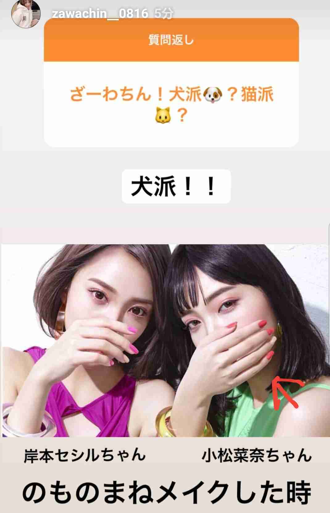 ざわちん、ほんのり赤茶色のヘアカラーに称賛コメントが続出「天使過ぎる可愛さ」