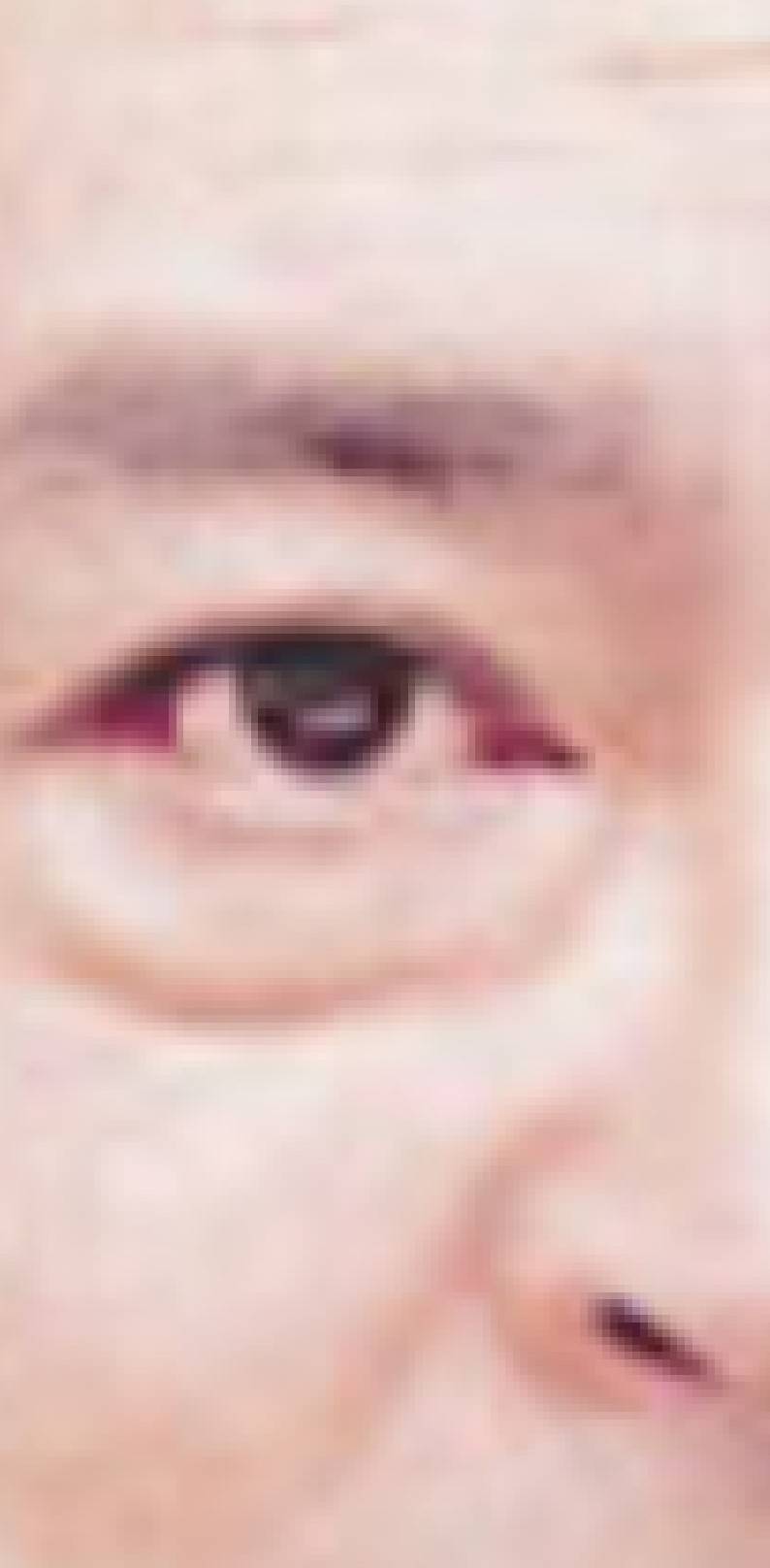 有名人の顔のパーツだけで誰かを当てるトピ!!