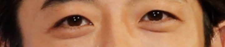 有名人の顔のパーツだけで誰かを当てるトピ!!