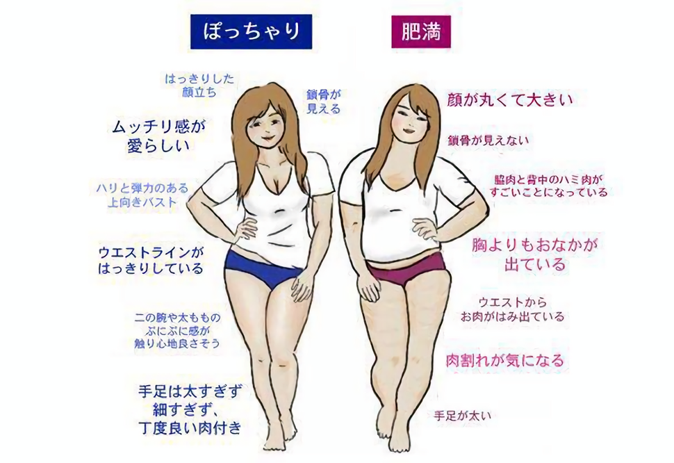 デブとポッチャリの境界線