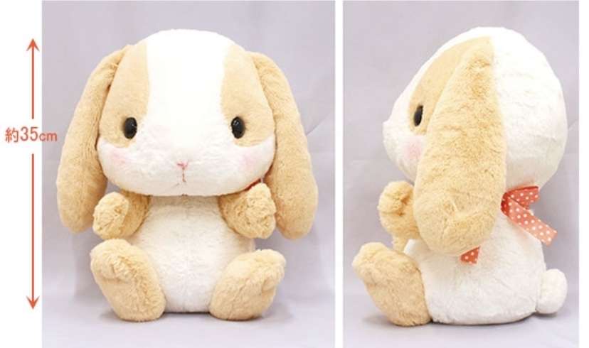 ウサギ好きのための雑談トピ🐰