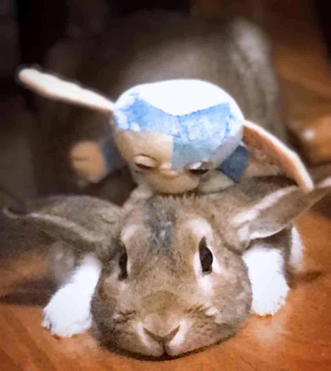 ウサギ好きのための雑談トピ🐰