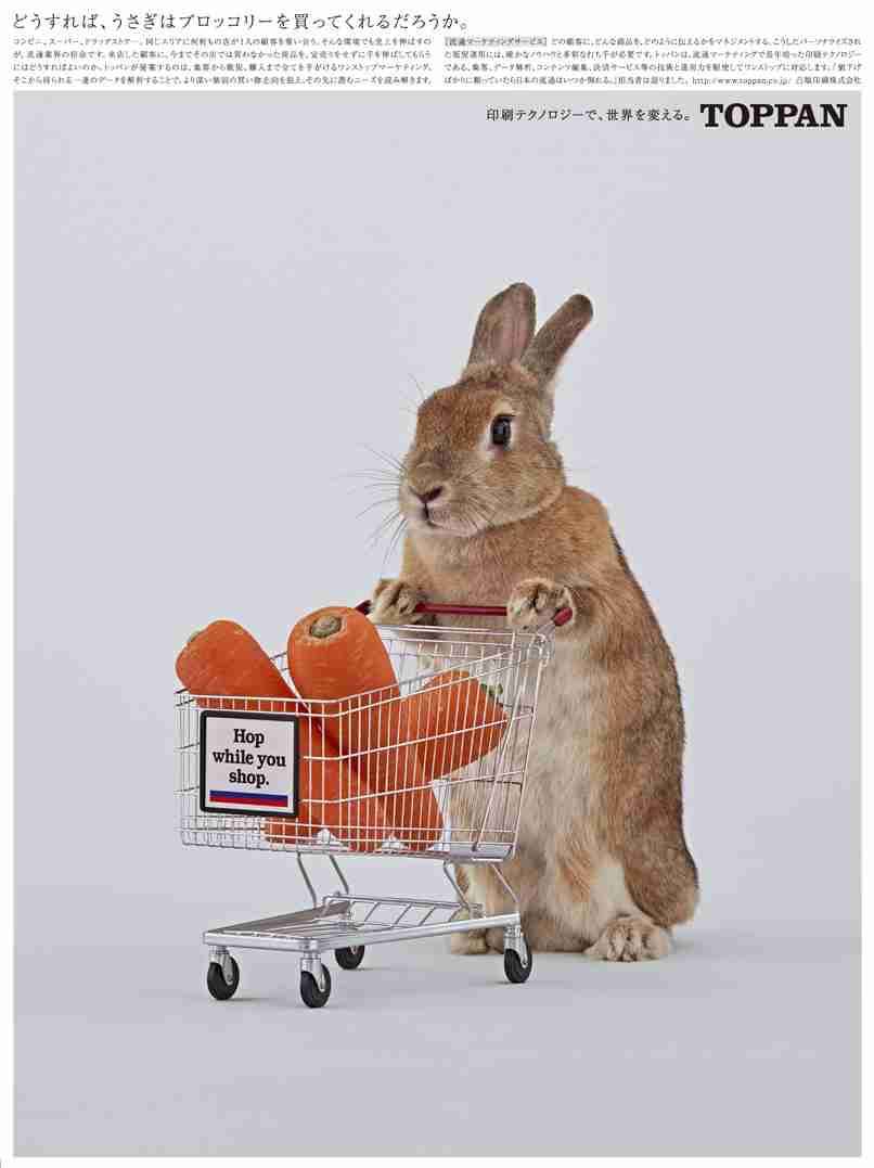 ウサギ好きのための雑談トピ🐰