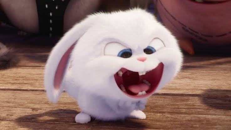 ウサギ好きのための雑談トピ🐰