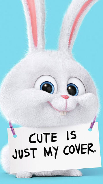ウサギ好きのための雑談トピ🐰