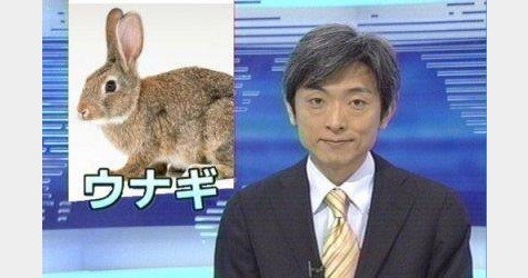 ウサギ好きのための雑談トピ🐰