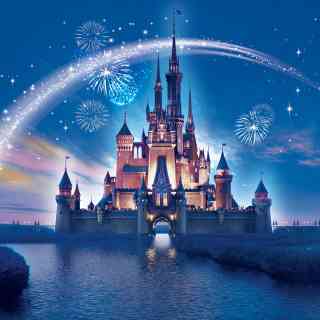 ディズニーランドにそこまで愛がない
