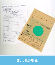 あなたが人生でやらかした1番馬鹿だと思うこと