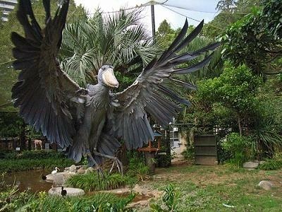 羽を広げている鳥の画像を貼るトピ
