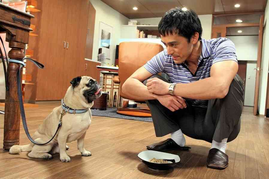 人気雑貨「スイマー（SWIMMER）」復活へ、白鳳がパティズに事業譲渡