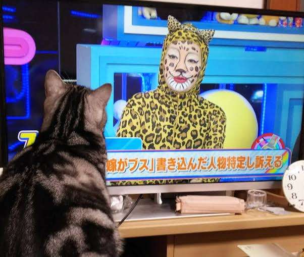 何かに夢中の動物たち
