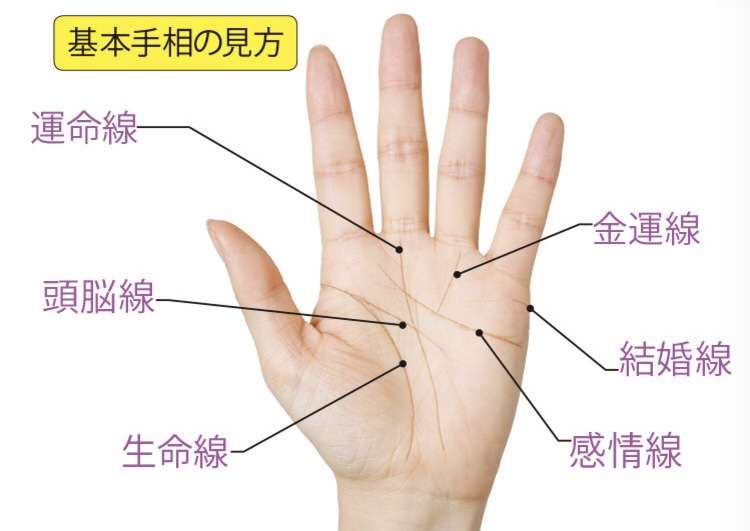 手相に詳しい人が現れるまで自分の手相についてコメントするトピ
