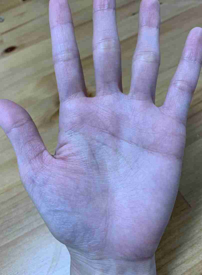 手相に詳しい人が現れるまで自分の手相についてコメントするトピ