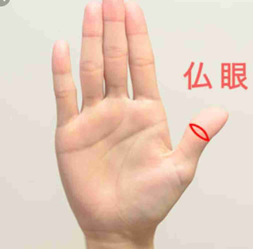 手相に詳しい人が現れるまで自分の手相についてコメントするトピ