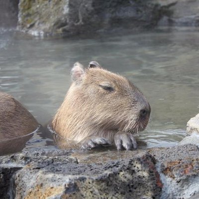お風呂に入っている時は何を考えていますか？