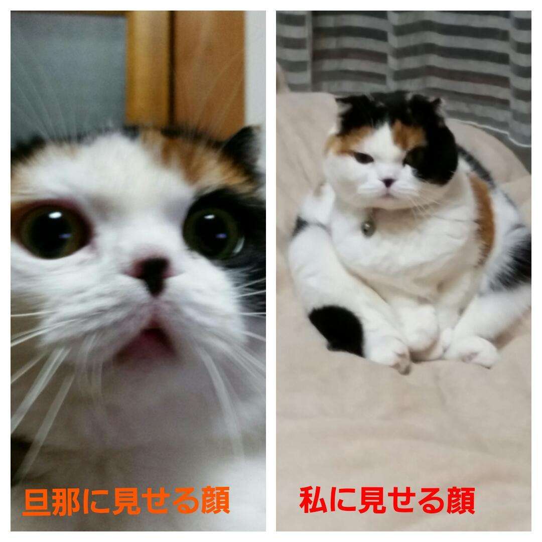 甘え上手な人、どうやって甘えてる?