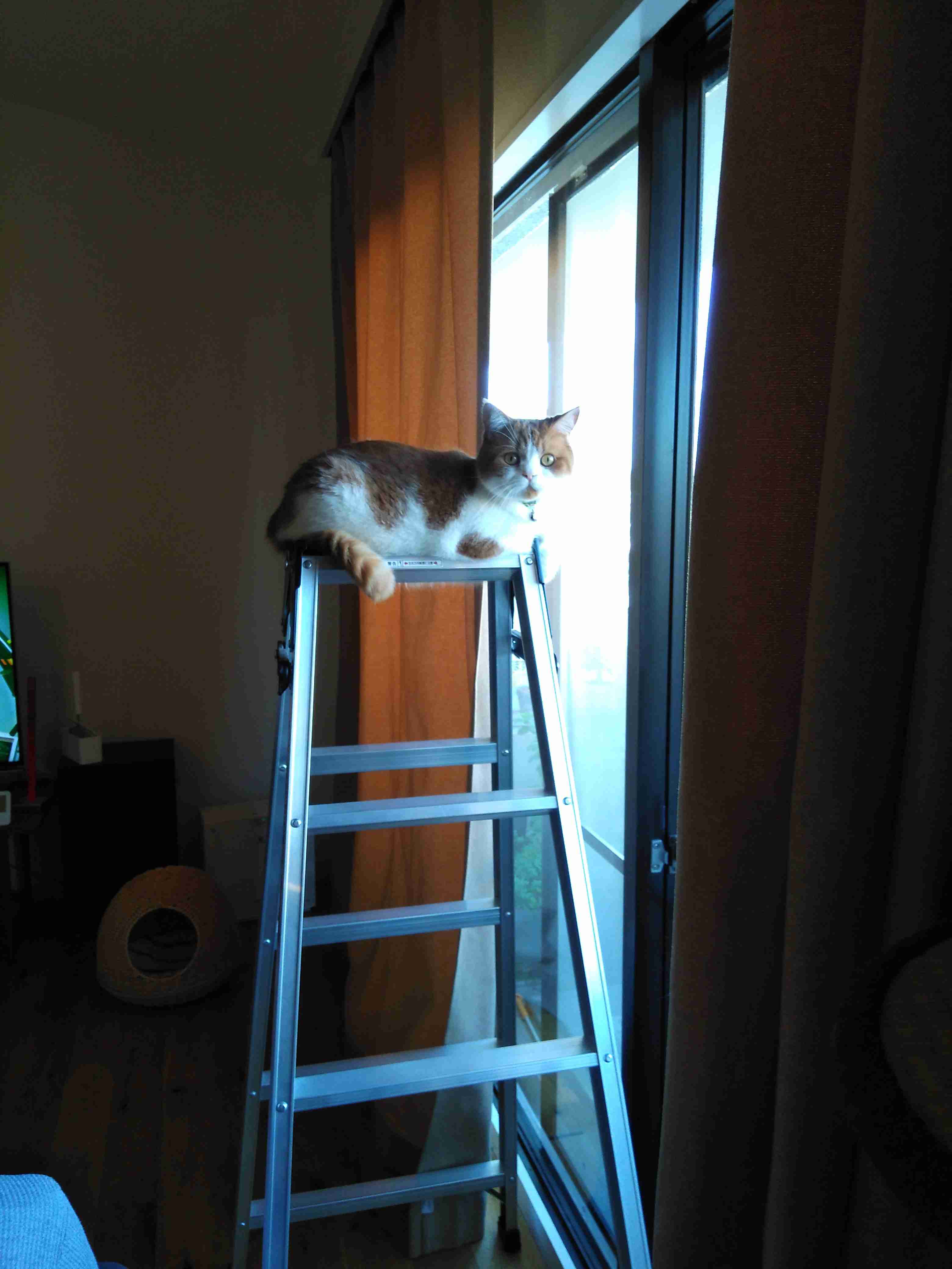 生活感溢れる写真☆part8