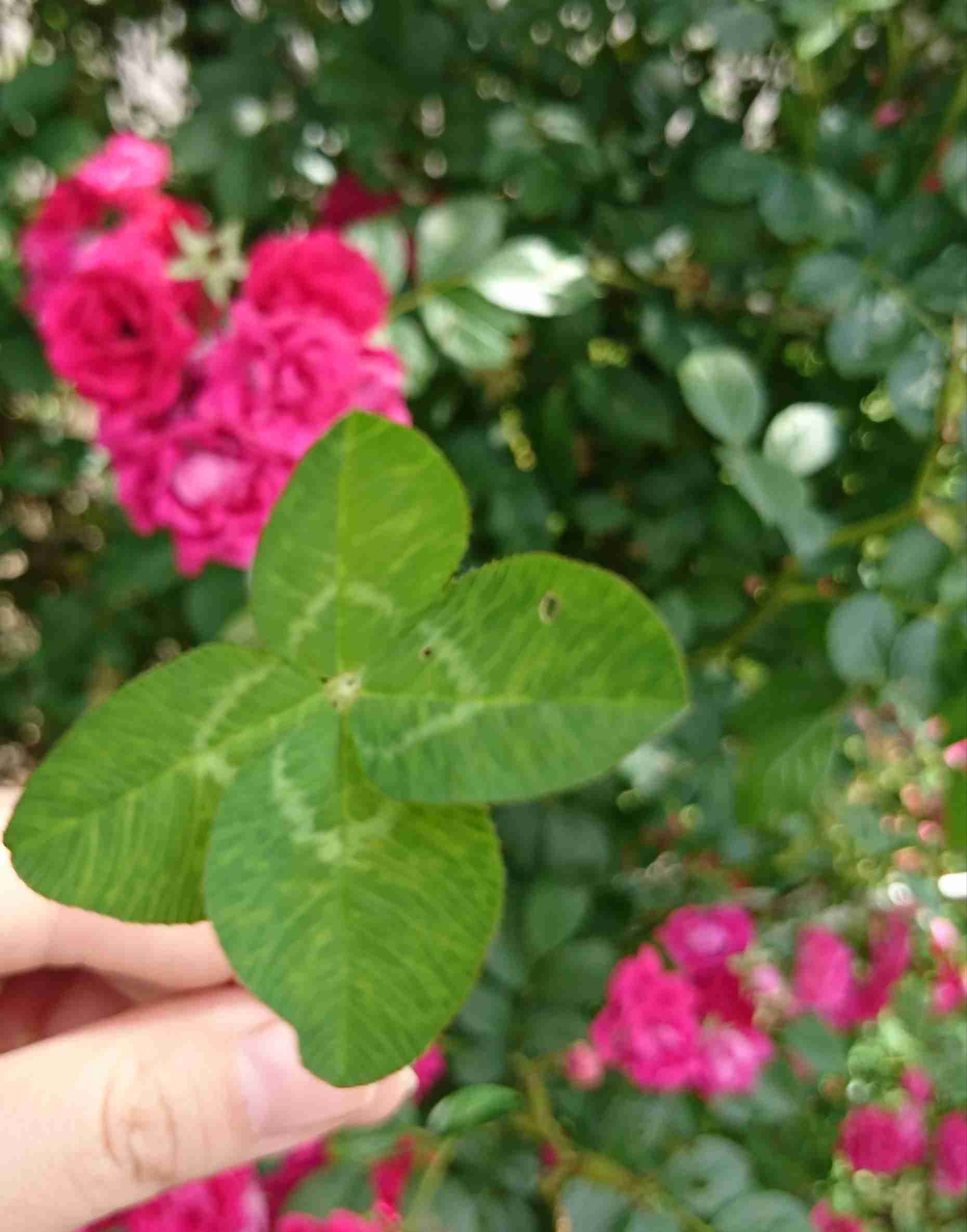 生活感溢れる写真☆part8