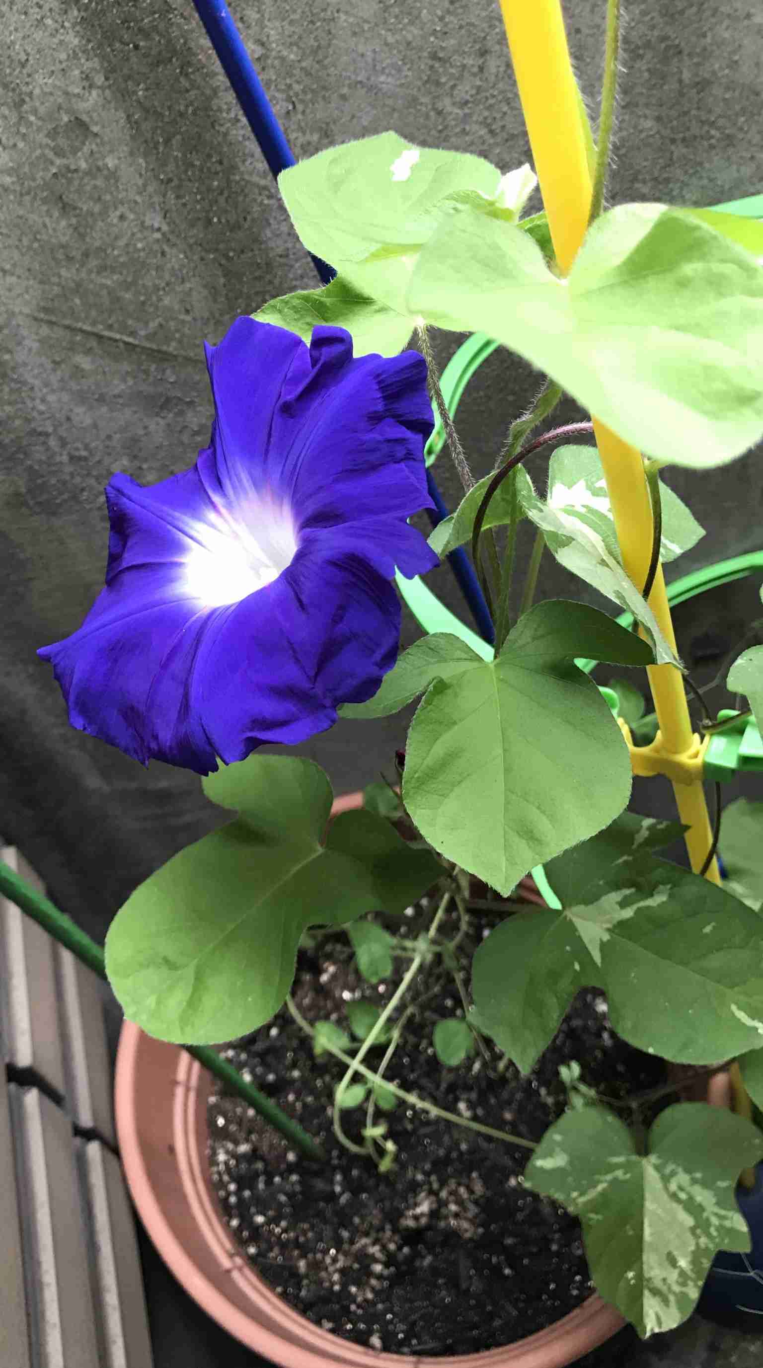 生活感溢れる写真☆part8