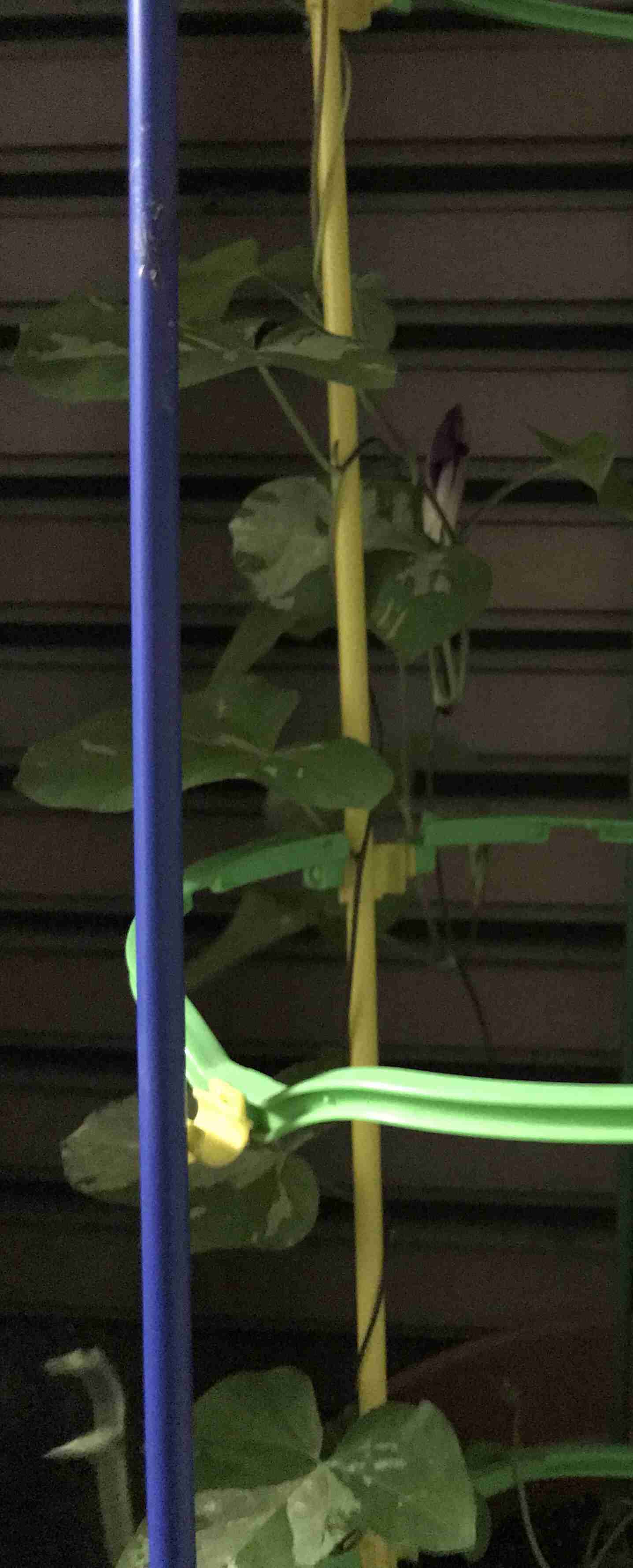 生活感溢れる写真☆part8