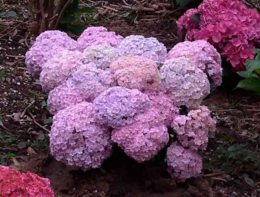 生活感溢れる写真☆part8