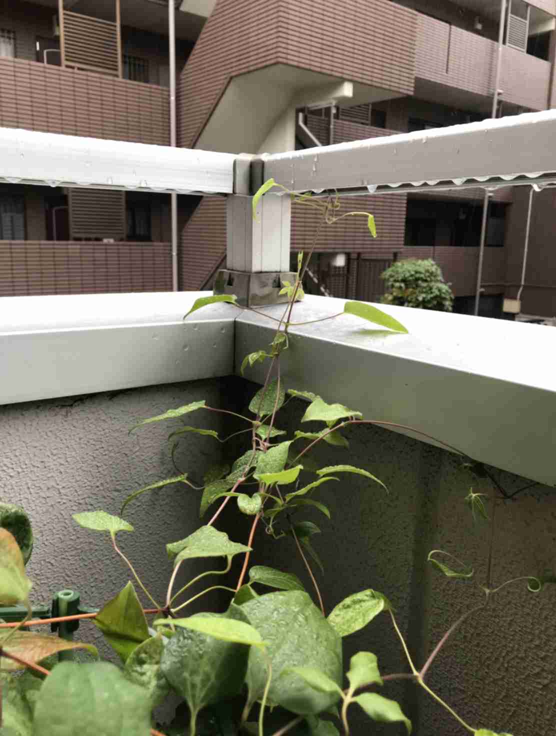 生活感溢れる写真☆part8