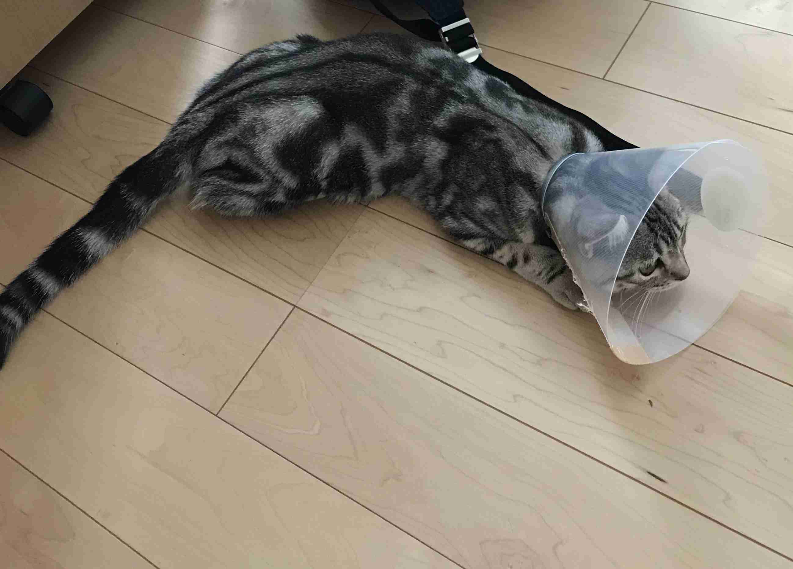 生活感溢れる写真☆part8