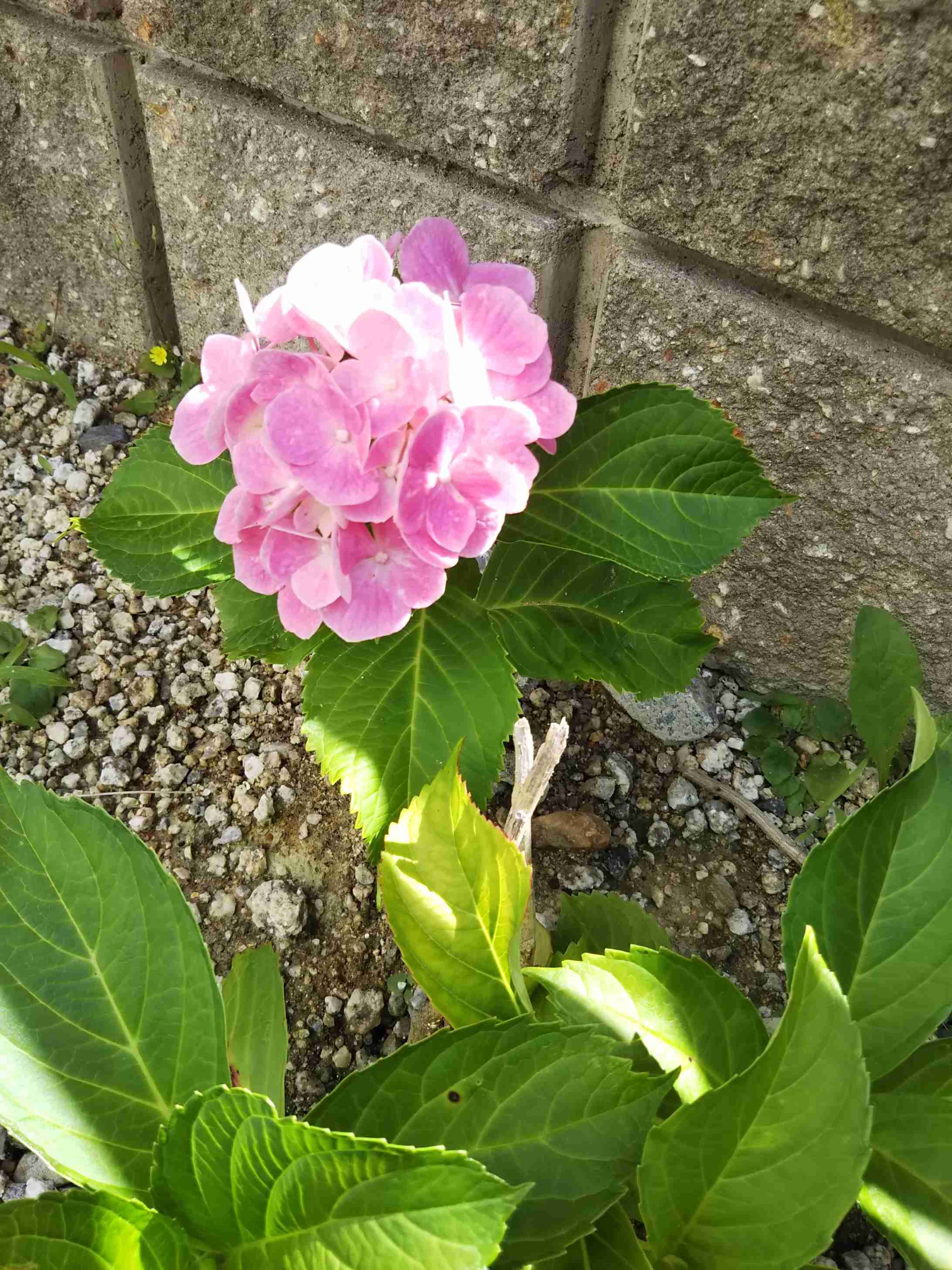 生活感溢れる写真☆part8