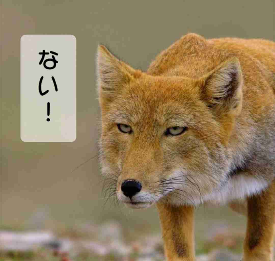 生きてたらいいことありますか?