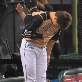 プロ野球ファンあるあるPART2