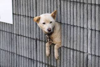 【画像】助けて～!と叫んでいそうな動物たち