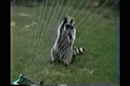 【画像】助けて～!と叫んでいそうな動物たち