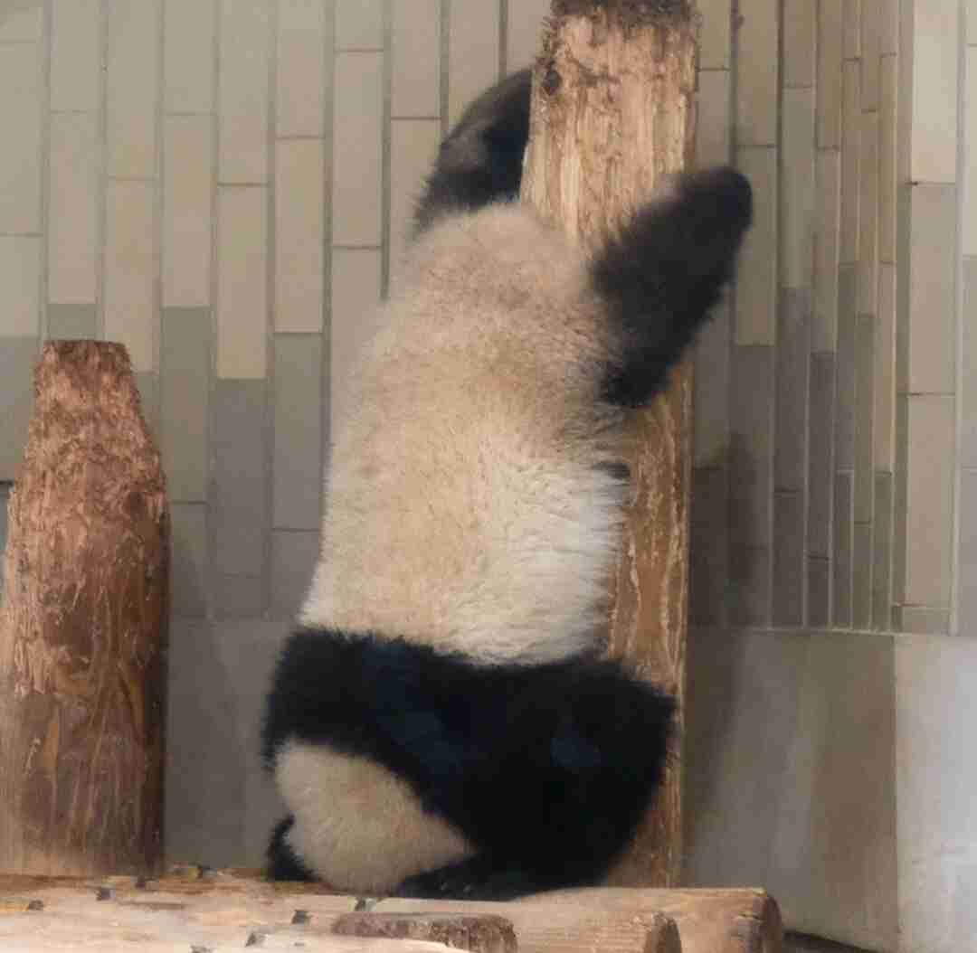 【画像】助けて～!と叫んでいそうな動物たち