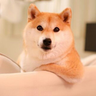 【妄想】ジャニーズvsEXILE TRIBEの運動会があったら