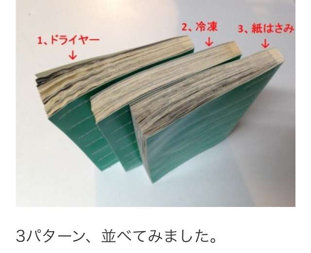 今、自由研究やるとしたら、何やりたいですか？