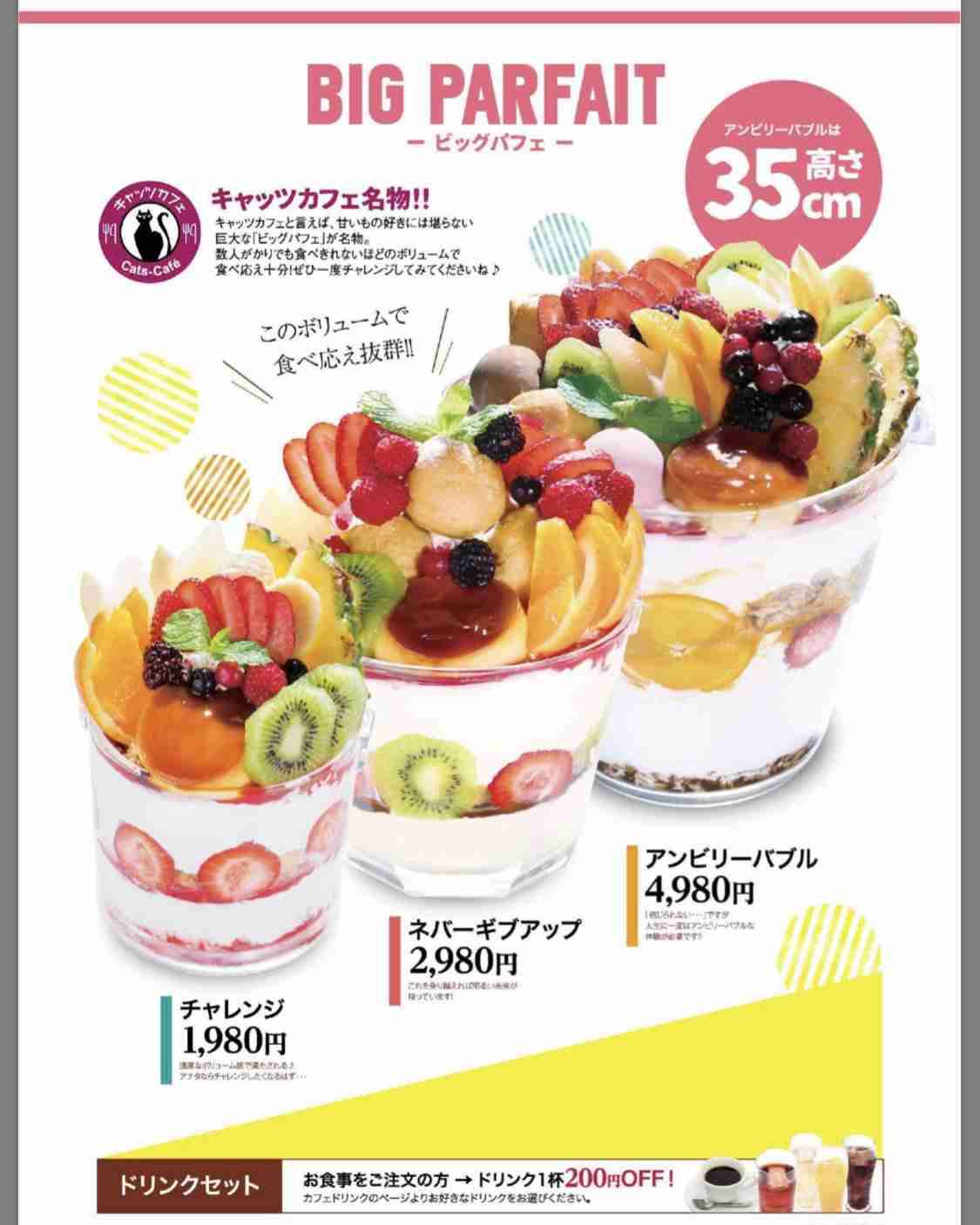 食べてみたいデカ盛り