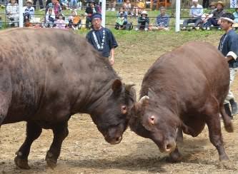 付き合うのが怖い人