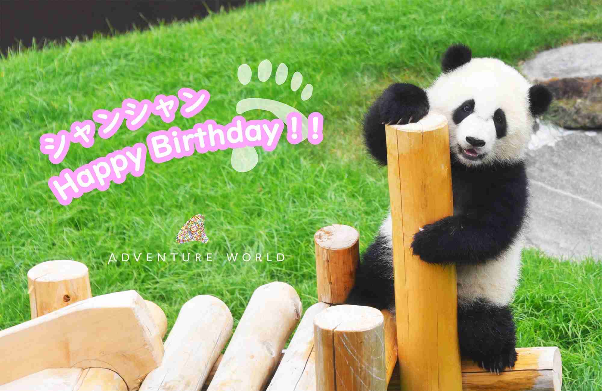 シャンシャンおめでとう　2歳の誕生日、上野動物園で祝福イベント