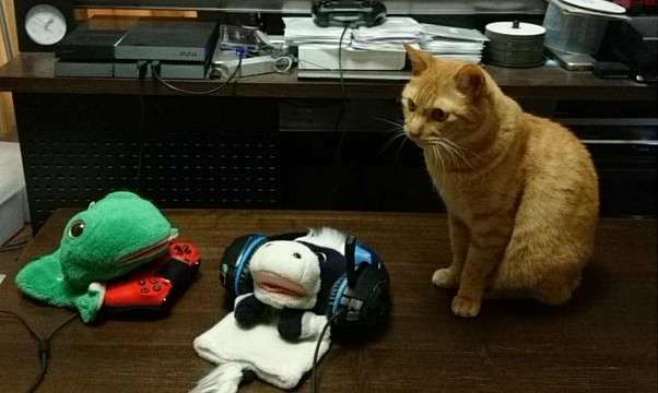 Twitter誰をフォローしてますか？