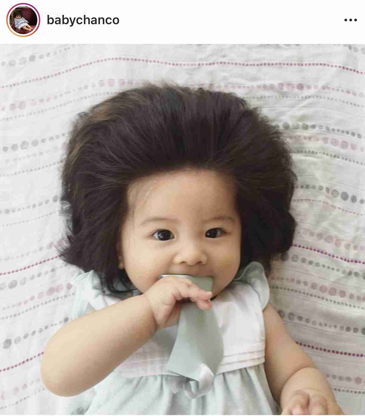 剛毛向けシャンプー