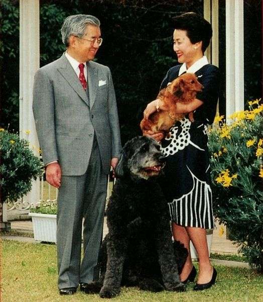 眞子さま南米へご出発　ペルー、ボリビア公式訪問