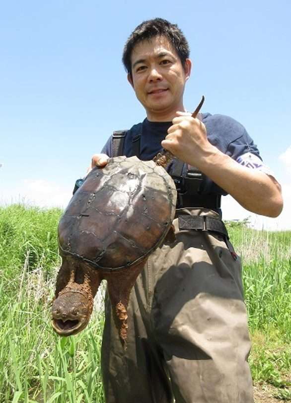 笑ってる動物怒ってる動物画像を交互に貼る