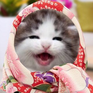 笑ってる動物怒ってる動物画像を交互に貼る