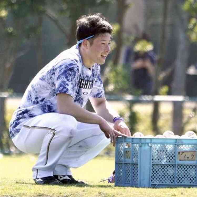 【妄想】プロ野球選手でアイドルグループを作ろう