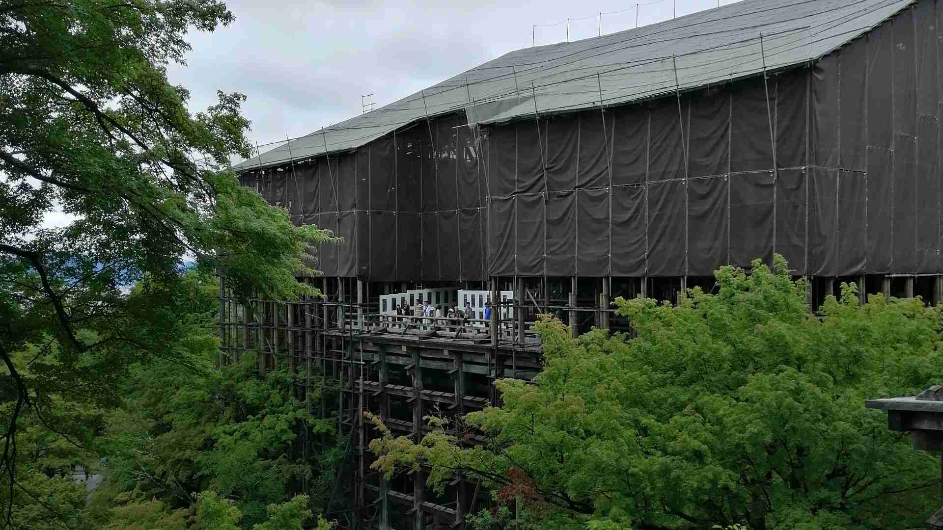清水の舞台から飛び降りるつもりで買ったその後